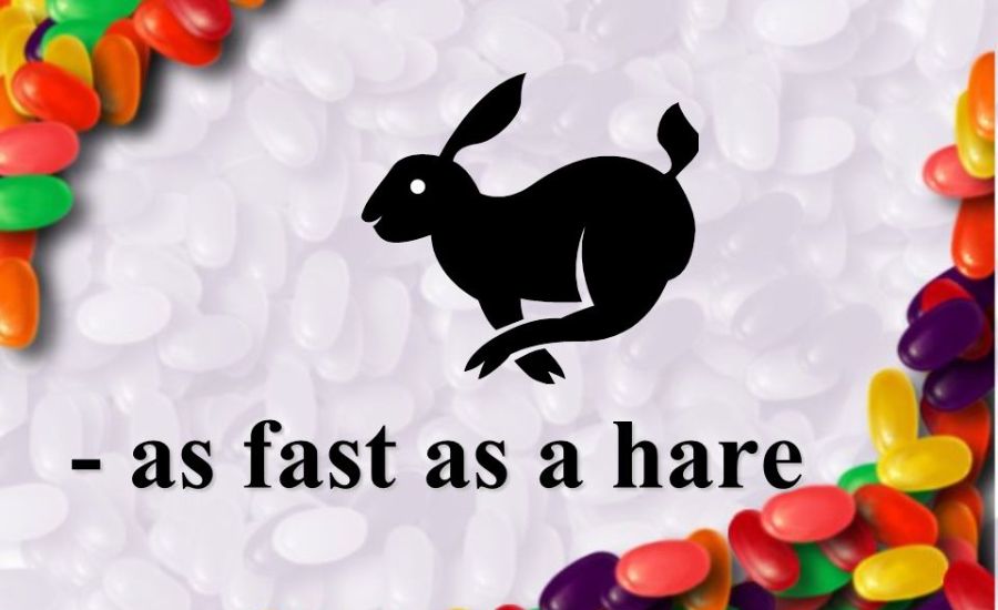 33 Similes for Fast 3 Fast as a falcon