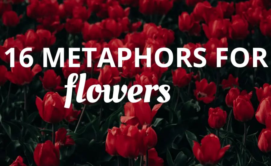 30 Metaphors for Flowers 3 Nature’s Delicate Art