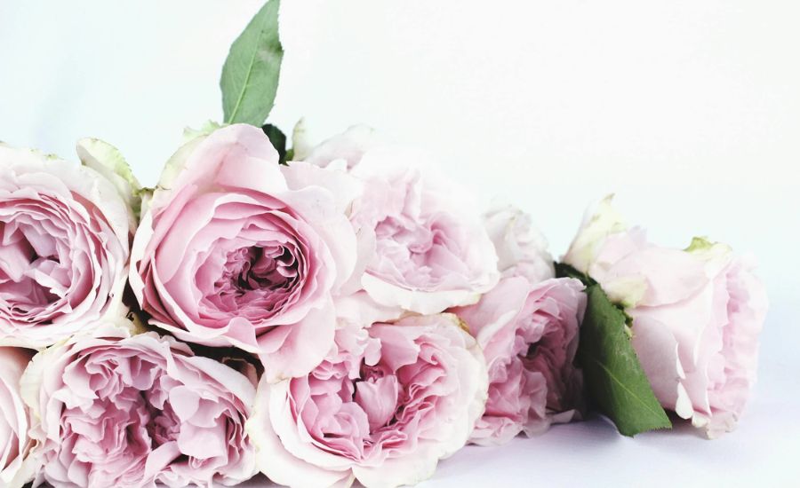 30 Idioms for Flowers 2 Flower power