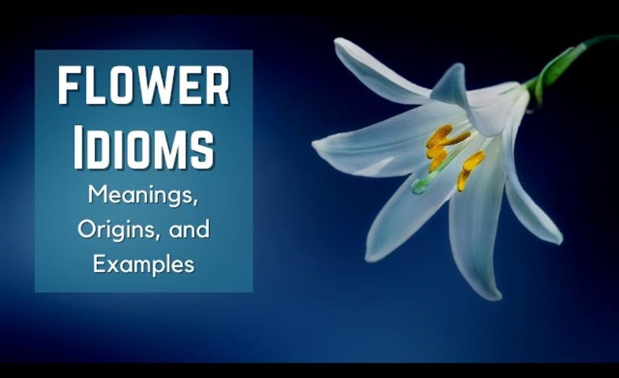 30 Idioms for Flowers 3 Rose-colored glasses