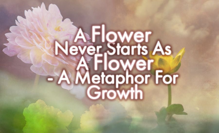 flower metaphors