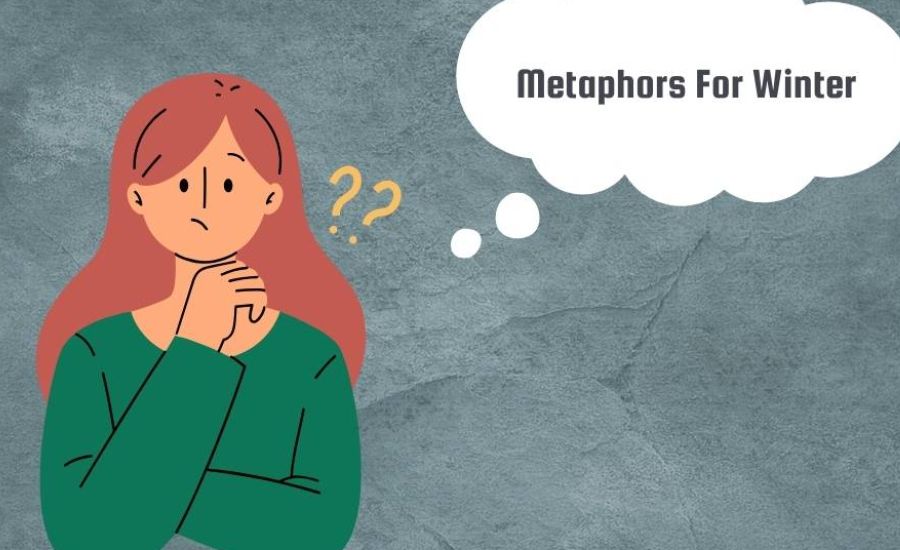 "33 Metaphors Winter: Capturing the Season’s Beauty, Stillness, and Power" 3 Winter is a Shadow of the Sun