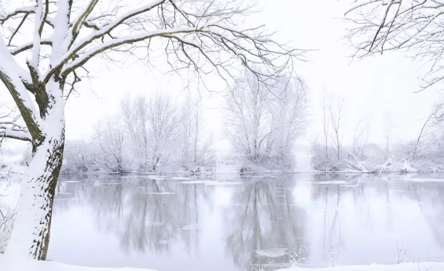 Metaphors Winter