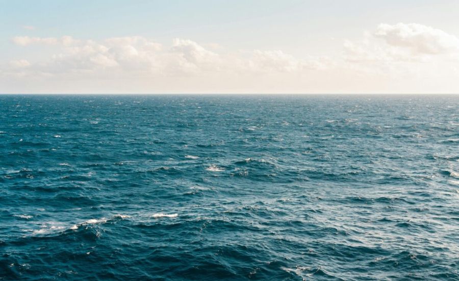 33 Metaphors for Sea 2 The Ocean is a Wild Animal