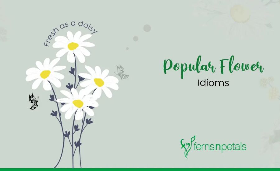 Flowers Idioms