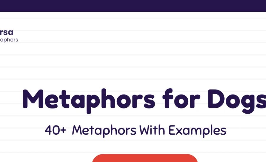 30 Metaphors for Dogs 3 A Living Stuffed Animal