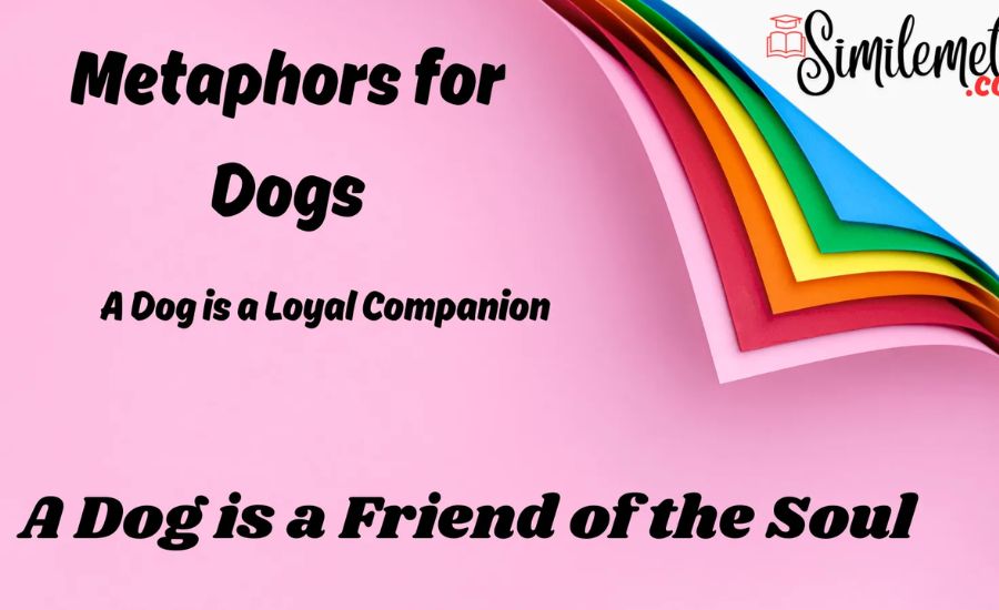 30 Metaphors for Dogs 2 A Pocket-Sized Guardian