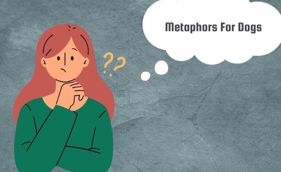 dog metaphors