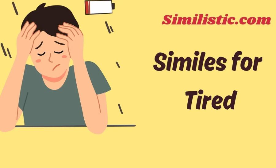 25 Similes for Tired 2 As tired as a sloth on a hot day