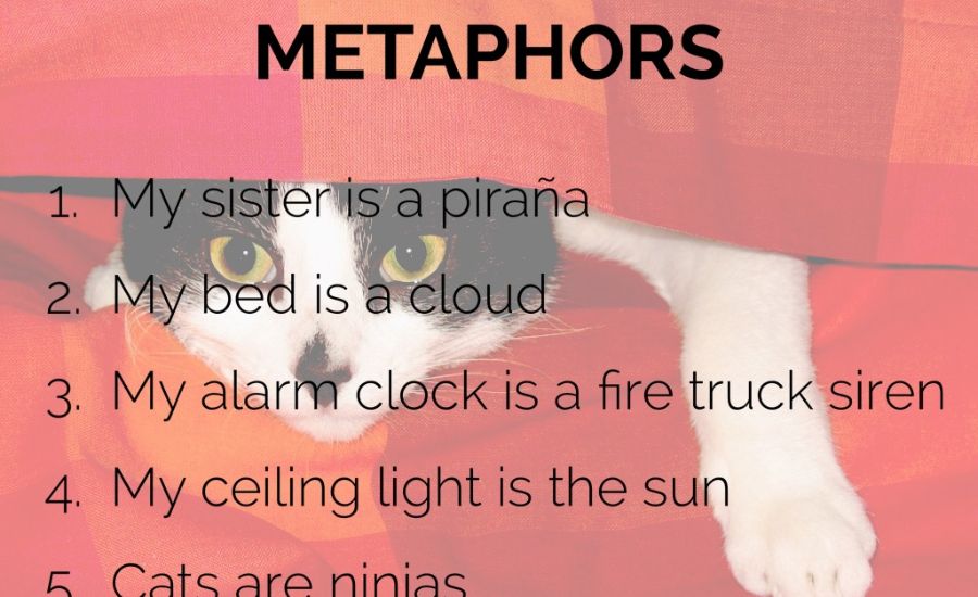 33 Metaphors for Cats 2 A Blanket That Walks Away