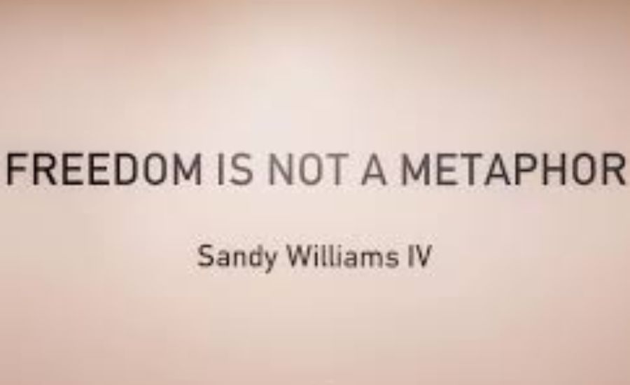 Metaphors for Freedom