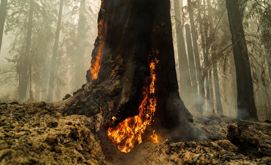 28 Metaphors for Fire 3 The Hungry Mouth