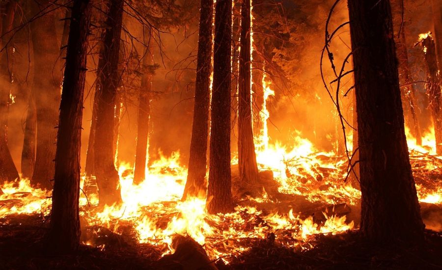 28 Metaphors for Fire 2 The Eternal Ember