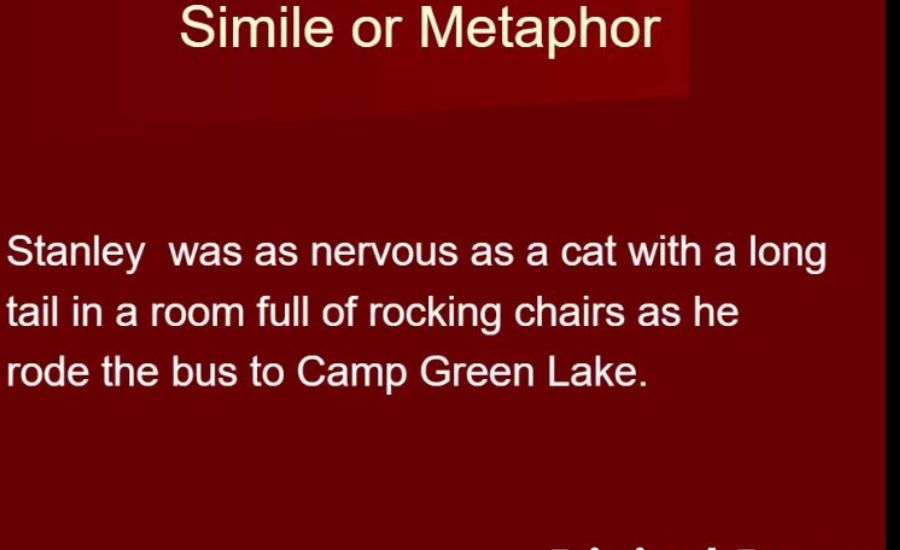nervous metaphors