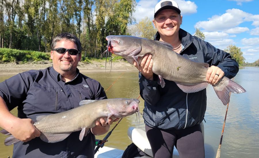 When Was It Founded and How Has It Evolved?